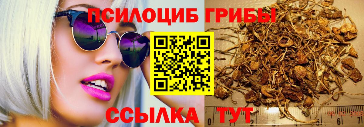 Псилоцибиновые грибы прущие грибы Жигулёвск