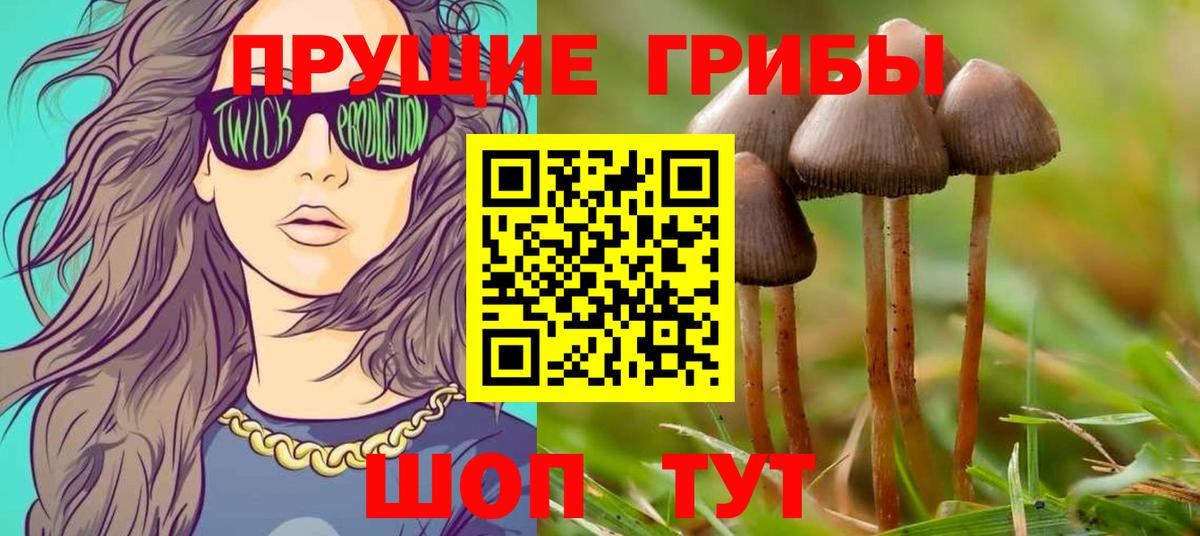 Жигулёвск  Галлюциногенные грибы Psilocybe  Вход с VPN  Галлюциногенные грибы Magic Shrooms 